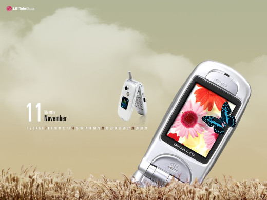 304429 (a): :1024x768